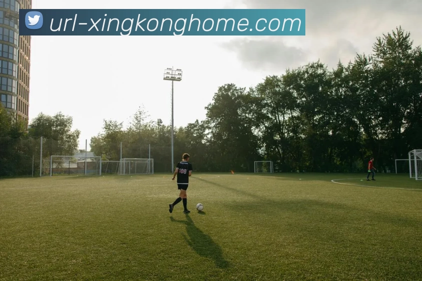 星空体育发展历程